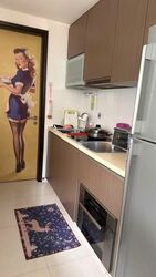 Mount Sophia Suites (D9), Apartment #570667941